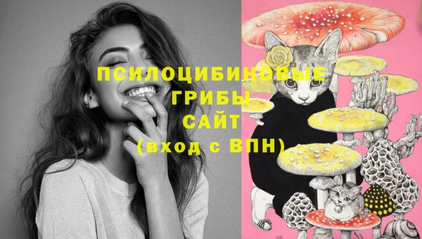 прущие крисы Ростов