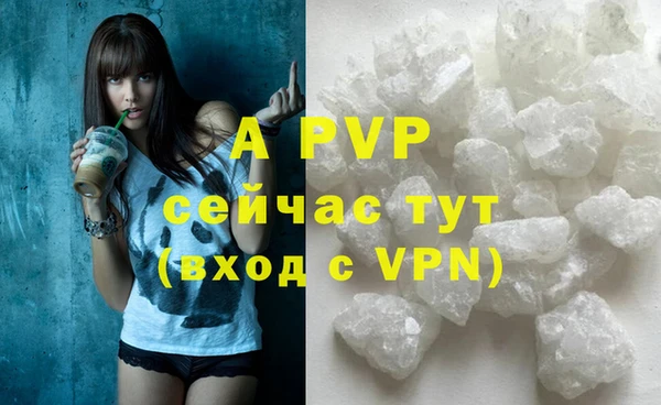 стафф Лихославль