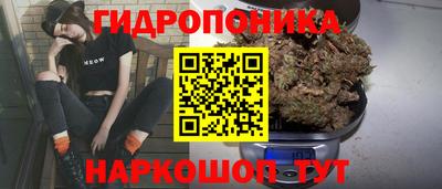 гашик Краснознаменск