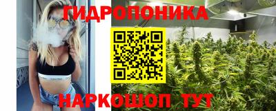 гашик Краснознаменск