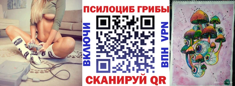 darknet как зайти  Учалы  Галлюциногенные грибы Cubensis 