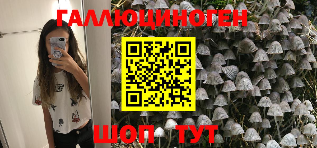 Псилоцибиновые грибы прущие грибы Учалы